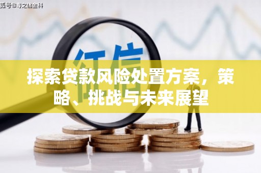 滨州探索贷款风险处置方案，策略、挑战与未来展望