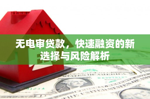 滨州无电审贷款，快速融资的新选择与风险解析