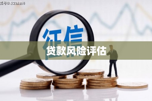 滨州贷款风险评估