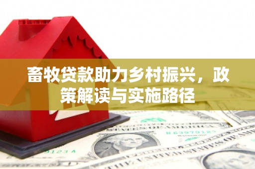 滨州畜牧贷款助力乡村振兴，政策解读与实施路径