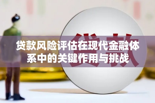 滨州贷款风险评估在现代金融体系中的关键作用与挑战