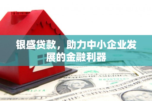滨州银盛贷款，助力中小企业发展的金融利器