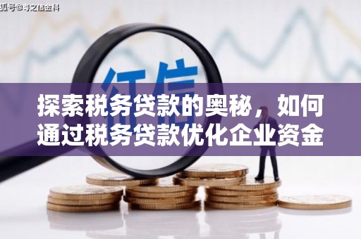 滨州探索税务贷款的奥秘，如何通过税务贷款优化企业资金流
