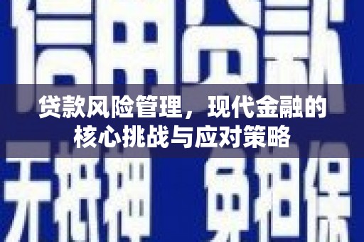 滨州贷款风险管理，现代金融的核心挑战与应对策略