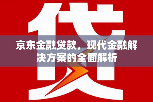 滨州京东金融贷款，现代金融解决方案的全面解析