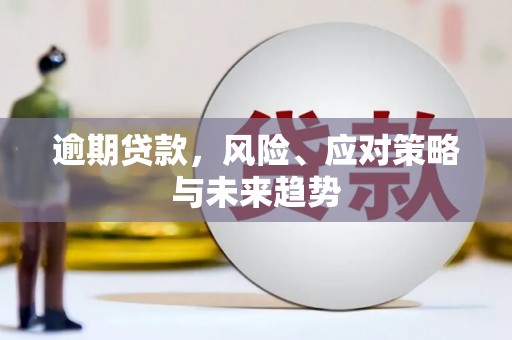 滨州逾期贷款，风险、应对策略与未来趋势