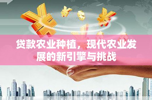 滨州贷款农业种植，现代农业发展的新引擎与挑战