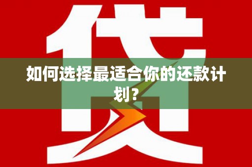 滨州如何选择最适合你的还款计划？