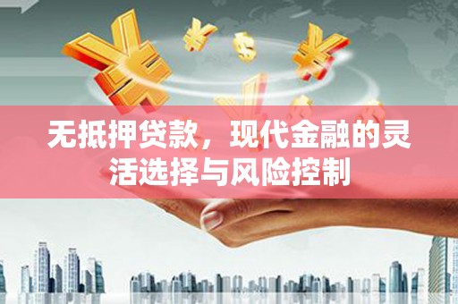 滨州无抵押贷款，现代金融的灵活选择与风险控制