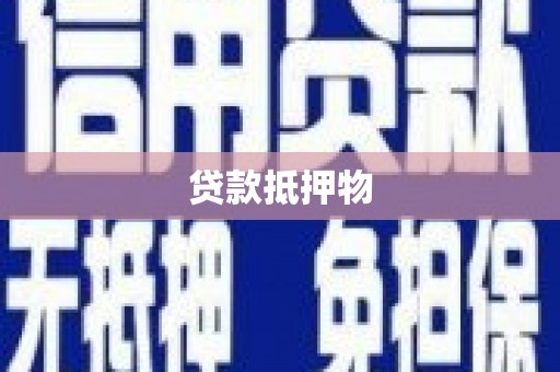 滨州贷款抵押物