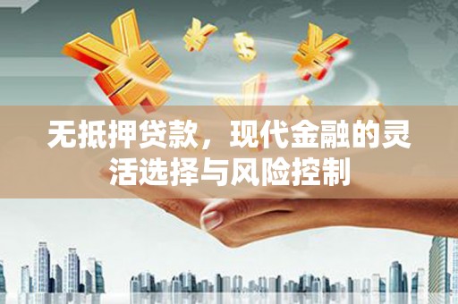 滨州无抵押贷款，现代金融的灵活选择与风险控制