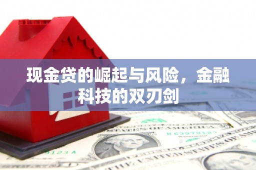 滨州现金贷的崛起与风险，金融科技的双刃剑