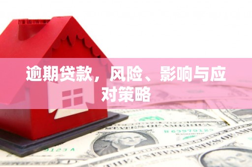 滨州逾期贷款，风险、影响与应对策略