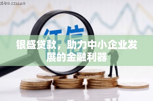 滨州银盛贷款，助力中小企业发展的金融利器