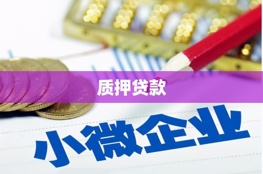 滨州质押贷款
