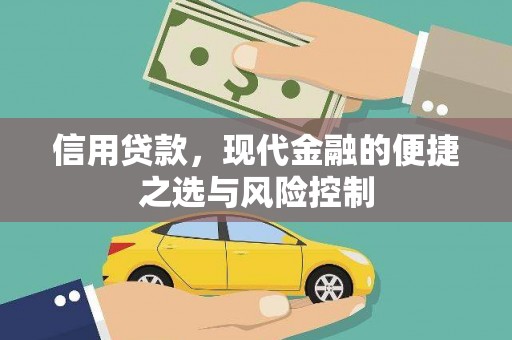 滨州信用贷款，现代金融的便捷之选与风险控制