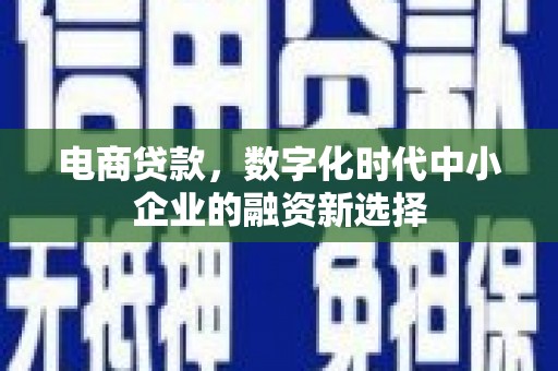滨州电商贷款，数字化时代中小企业的融资新选择
