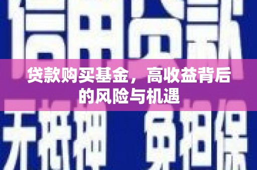 滨州贷款购买基金，高收益背后的风险与机遇