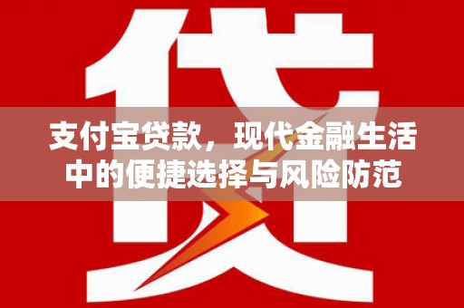 滨州支付宝贷款，现代金融生活中的便捷选择与风险防范