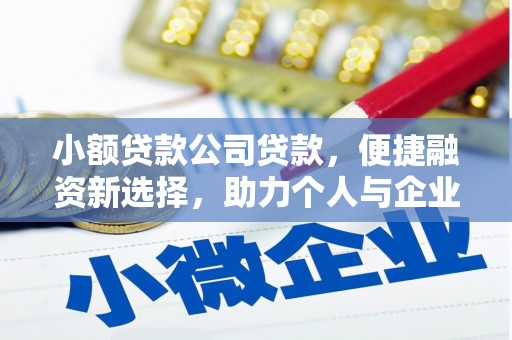 滨州小额贷款公司贷款，便捷融资新选择，助力个人与企业成长