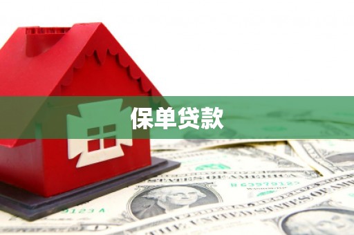 滨州保单贷款