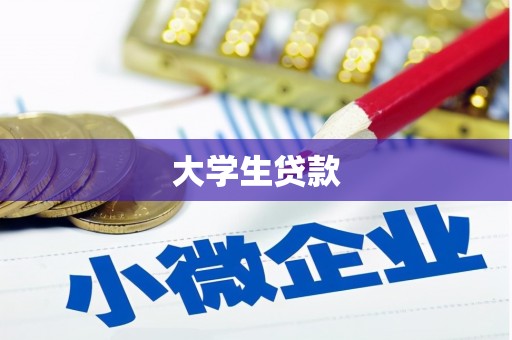 滨州大学生贷款