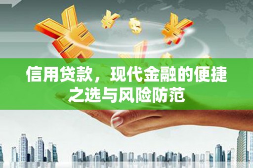 滨州信用贷款，现代金融的便捷之选与风险防范