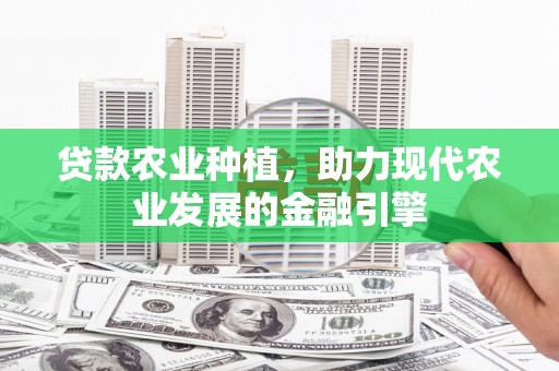 滨州贷款农业种植，助力现代农业发展的金融引擎