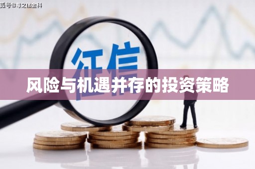 滨州风险与机遇并存的投资策略