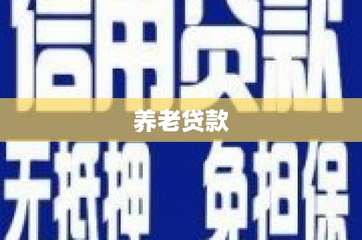 滨州养老贷款