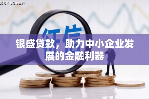 滨州银盛贷款，助力中小企业发展的金融利器