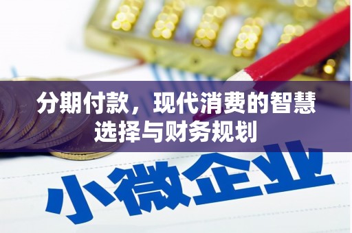 滨州分期付款，现代消费的智慧选择与财务规划