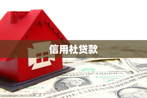 滨州信用社贷款