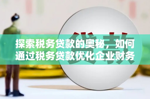 滨州探索税务贷款的奥秘，如何通过税务贷款优化企业财务