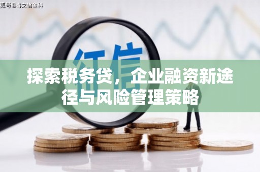 滨州探索税务贷，企业融资新途径与风险管理策略