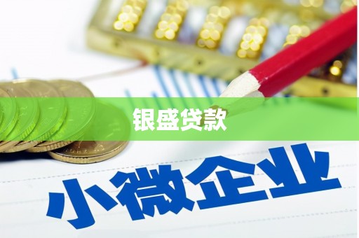 滨州银盛贷款