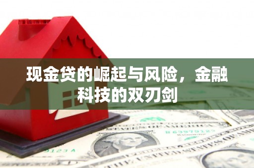 滨州现金贷的崛起与风险，金融科技的双刃剑