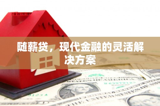 滨州随薪贷，现代金融的灵活解决方案