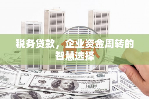 滨州税务贷款，企业资金周转的智慧选择