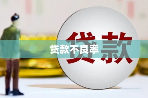 滨州贷款不良率
