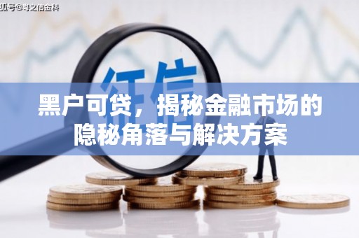 滨州黑户可贷，揭秘金融市场的隐秘角落与解决方案