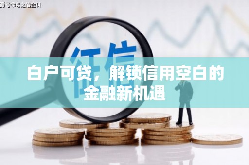 滨州白户可贷，解锁信用空白的金融新机遇