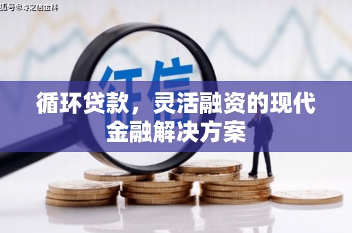 滨州循环贷款，灵活融资的现代金融解决方案