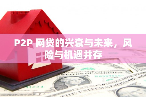 滨州P2P 网贷的兴衰与未来，风险与机遇并存