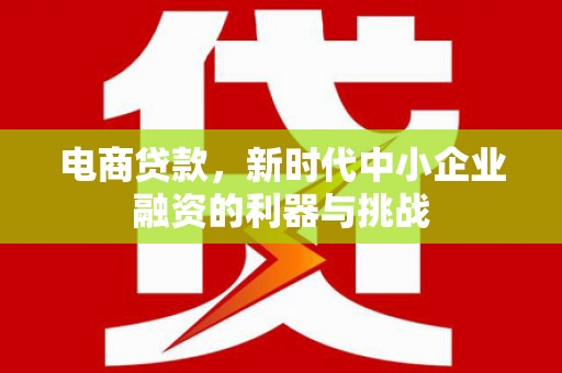 滨州电商贷款，新时代中小企业融资的利器与挑战
