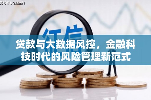 滨州贷款与大数据风控，金融科技时代的风险管理新范式