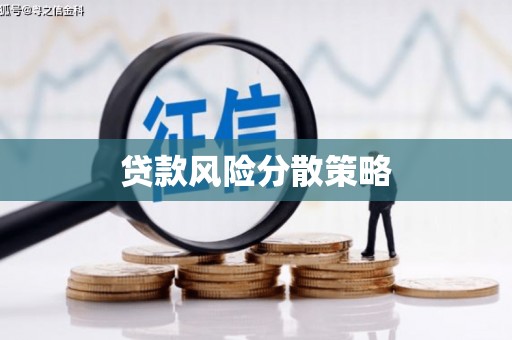 滨州贷款风险分散策略