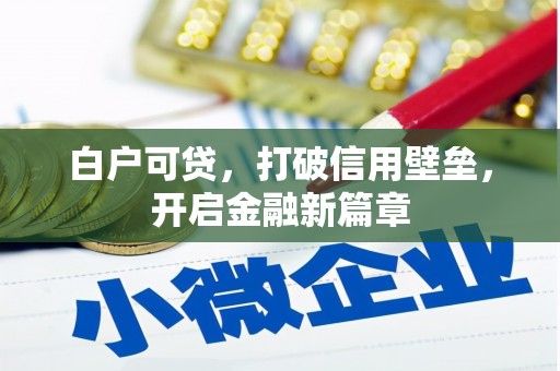 滨州白户可贷，打破信用壁垒，开启金融新篇章