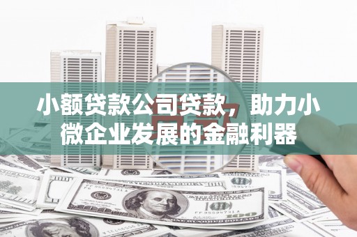 滨州小额贷款公司贷款，助力小微企业发展的金融利器