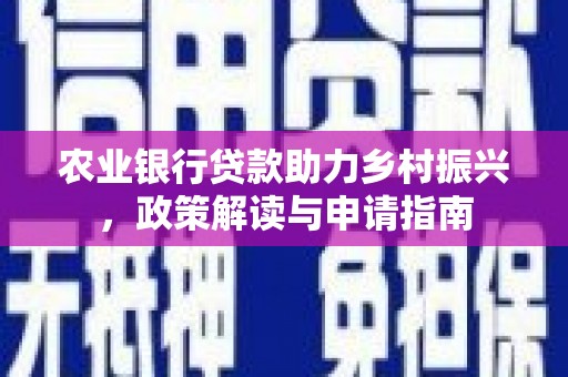 滨州农业银行贷款助力乡村振兴，政策解读与申请指南